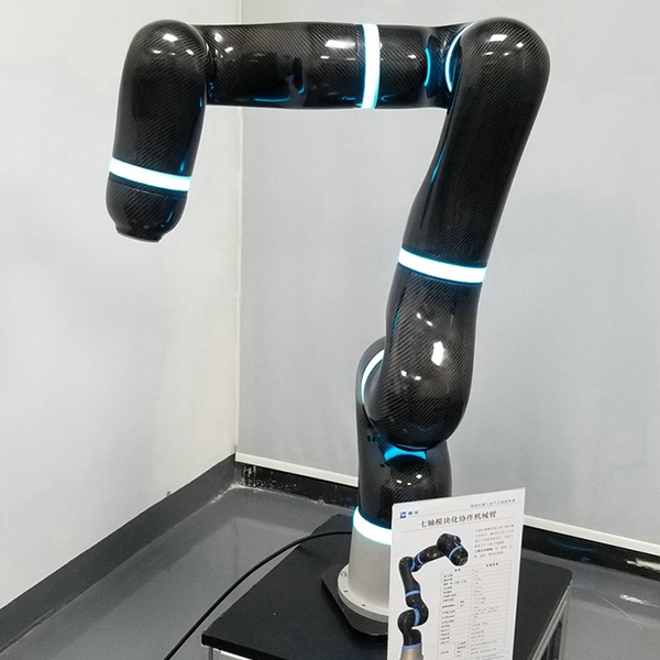 Intelligent robot project development
